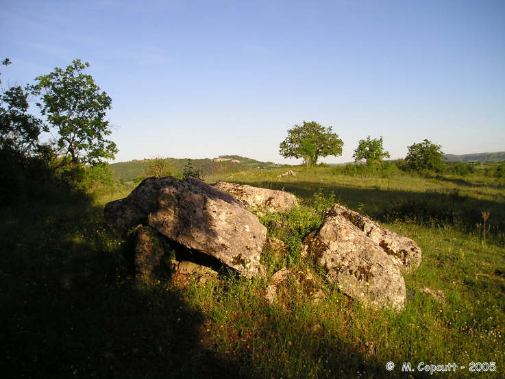 Click for the gallery page to add comments and vote (PID:17787) Buzareingues dolmen 2