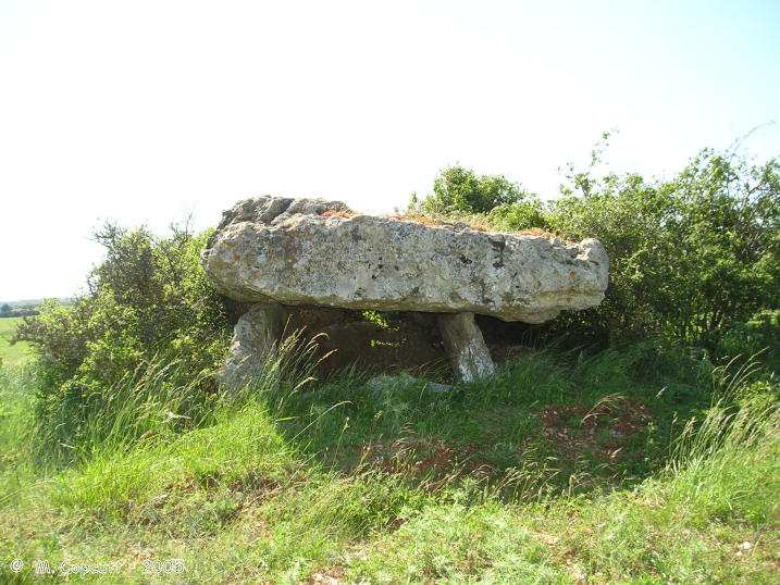 Click for the gallery page to add comments and vote (PID:18185) Dolmen de Combets 2