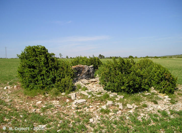 Click for the gallery page to add comments and vote (PID:18183) Dolmen de Combets 1