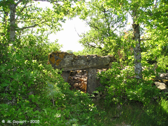 Click for the gallery page to add comments and vote (PID:18186) La Baraque dolmen