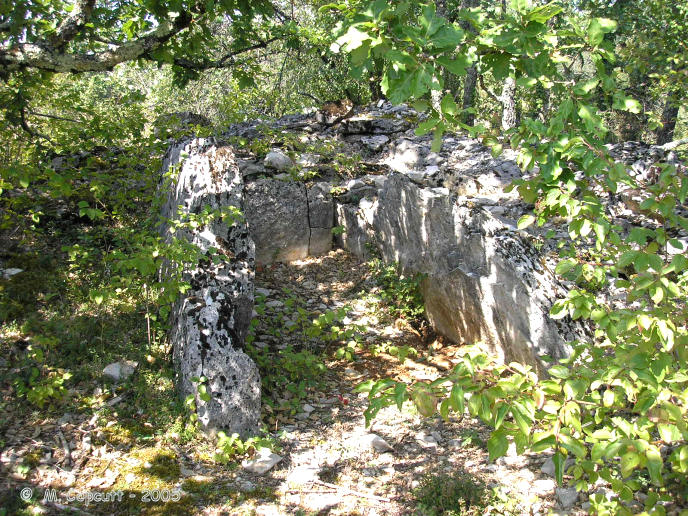 A bit to the south of the track running along the southern edge of the airfield, in the scrubland, are several mounds of stones. 
One of these mounds has a clear dolmen chamber within it, but was very difficult to photograph with all the trees and bushes around it. 
I am lead to believe that there are many dolmens to be found within these woodlands, far more than the three that I found. 