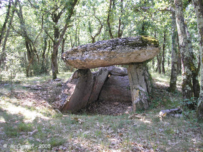 Click for the gallery page to add comments and vote (PID:18855) Tombe du Géant (Septfonds)
