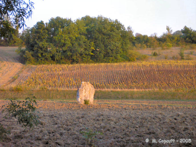 Click for the gallery page to add comments and vote (PID:18864) Menhir Ste Carissime