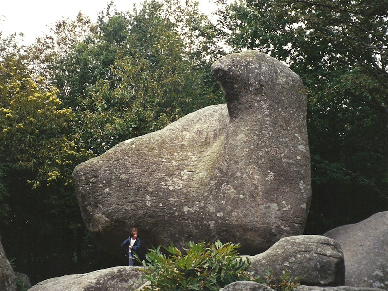 celebrated rock shaped like a goose, to the east of Castres. 
