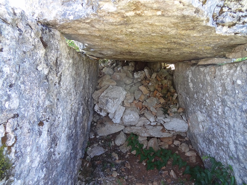 Click for the gallery page to add comments and vote (PID:175956) Dolmen de Combe Nègre
