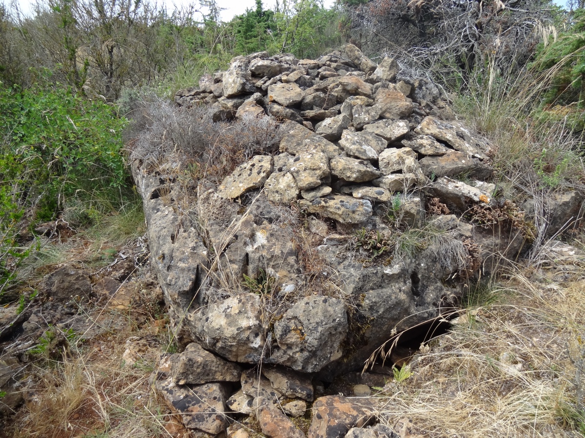 Dolmen de Navas 7