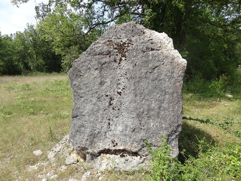 Click for the gallery page to add comments and vote (PID:176062) Menhir des Clouts Grands-1