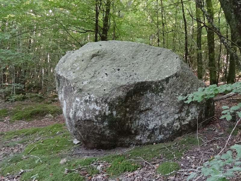 Click for the gallery page to add comments and vote (PID:189124) Dolmen de la Frajure