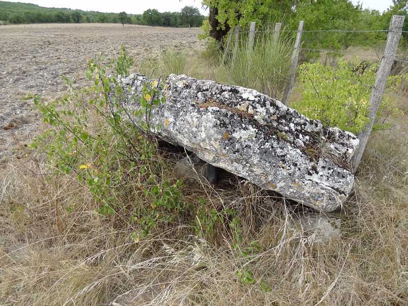 Dolmen de Cuzoul 2 (Lalbenque)