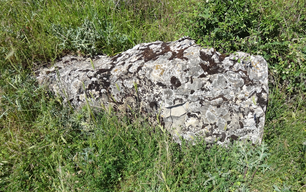 Click for the gallery page to add comments and vote (PID:200491) Dolmen de la Viguerie (Bozouls)