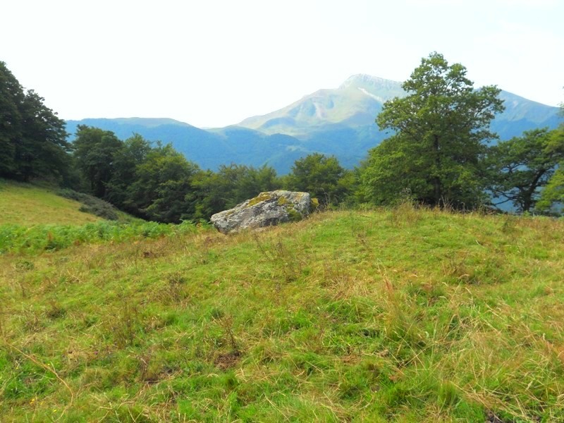 Site in Zuberoa (Pyrénées-Atlantiques) 