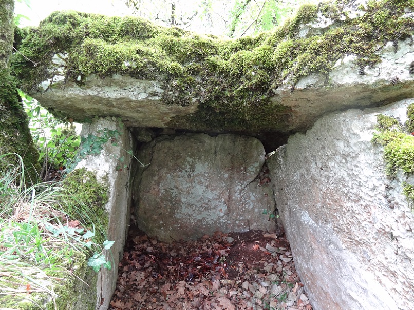 Click for the gallery page to add comments and vote (PID:176121) Dolmen de la Combe du Cornier