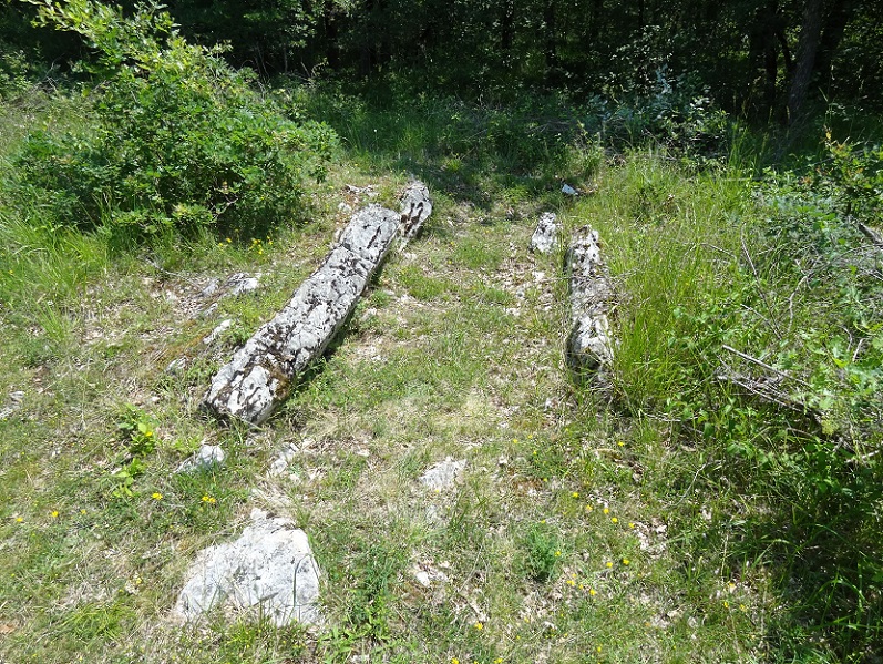 Click for the gallery page to add comments and vote (PID:175492) Dolmen de la Jonade 2