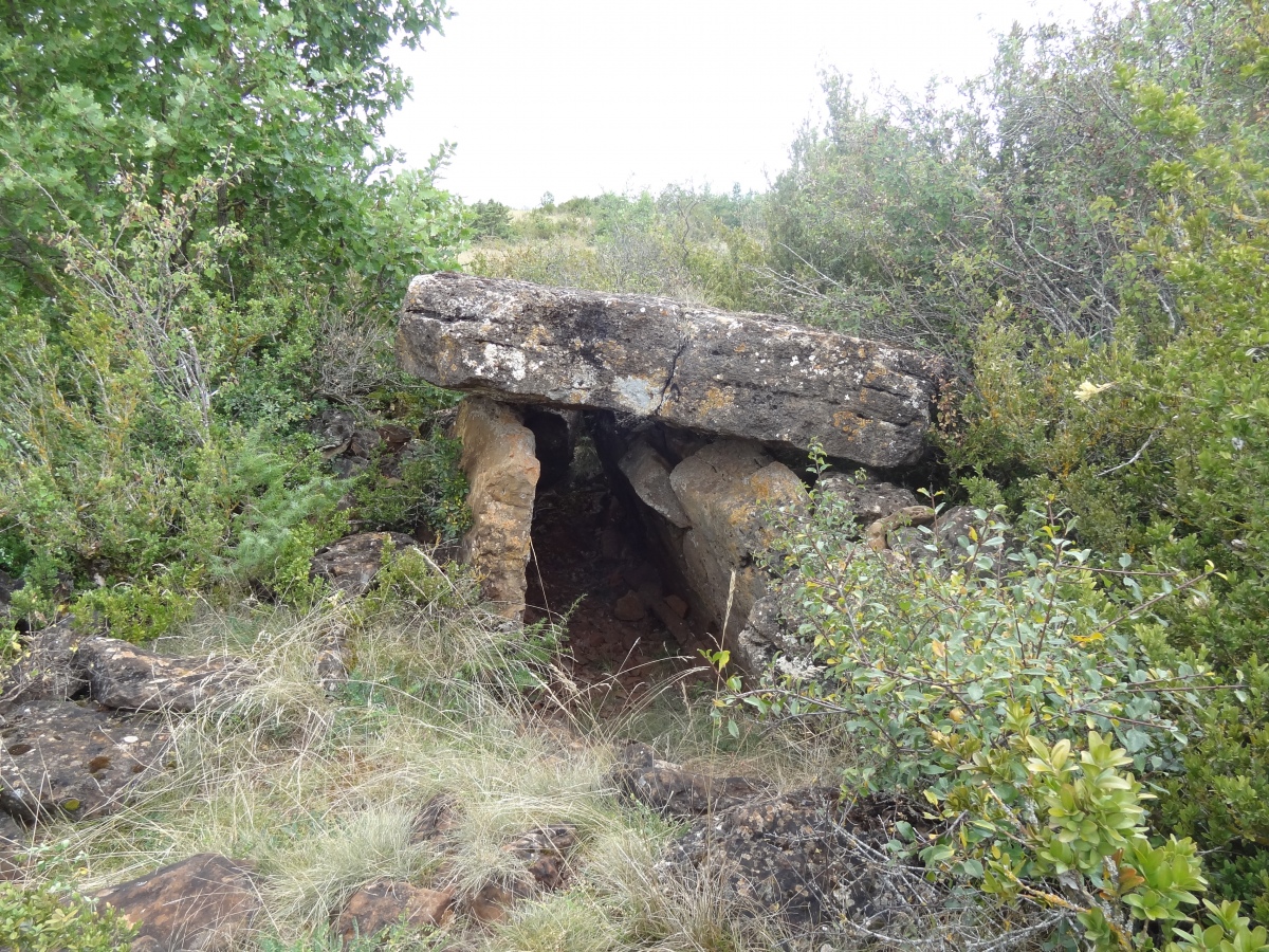 Click for the gallery page to add comments and vote (PID:235591) Dolmen de Soulobres 1