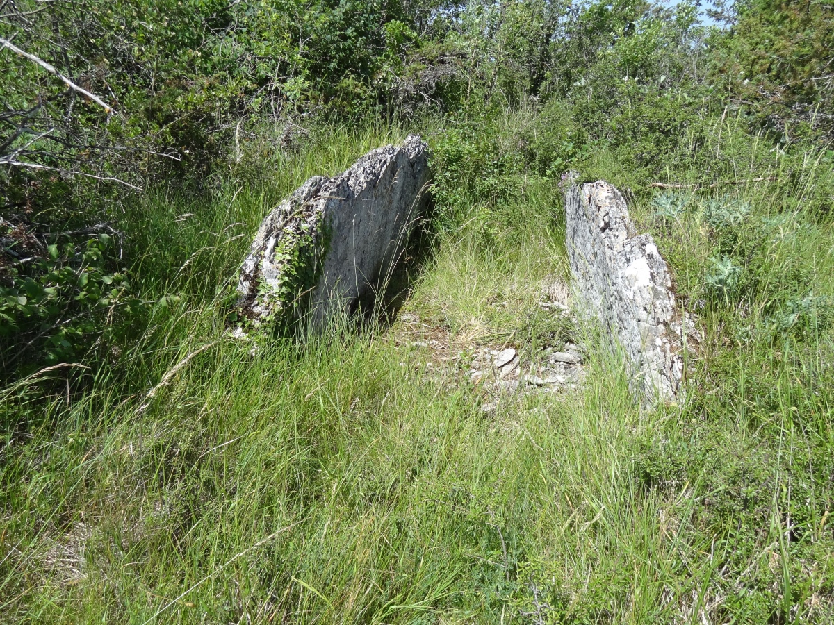 Dolmen de Vitarelle 3