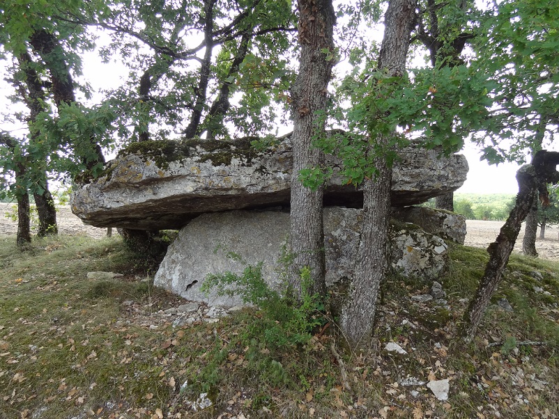 Click for the gallery page to add comments and vote (PID:188341) Dolmen de Cuzoul 1 (Lalbenque)