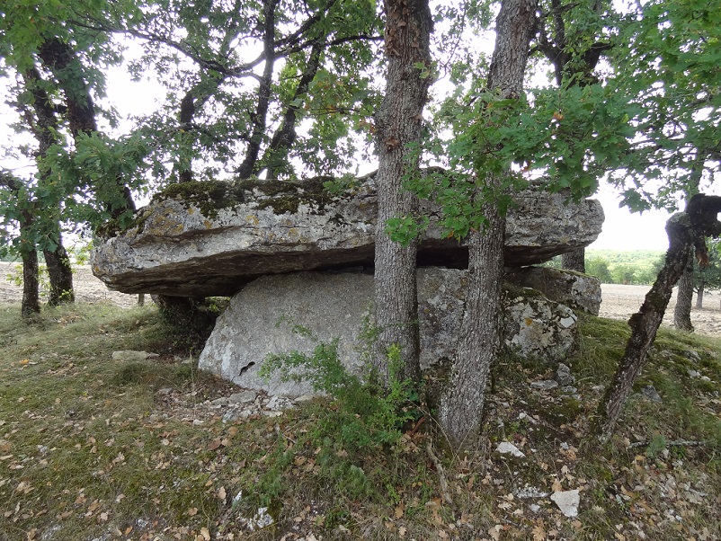 Dolmen de Cuzoul 1 (Lalbenque)