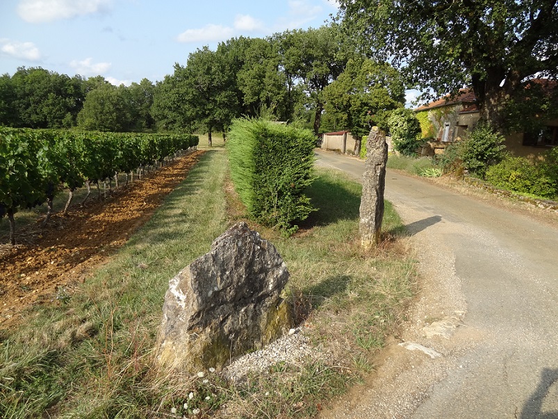 Click for the gallery page to add comments and vote (PID:188152) Menhir La Pierre Longue (Foussal)