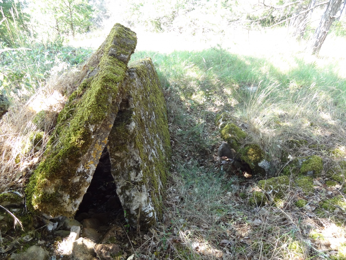 Dolmen du Mas de Poumous