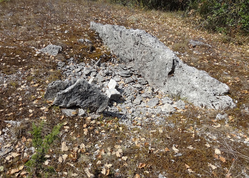 Dolmen de Las Gamasses