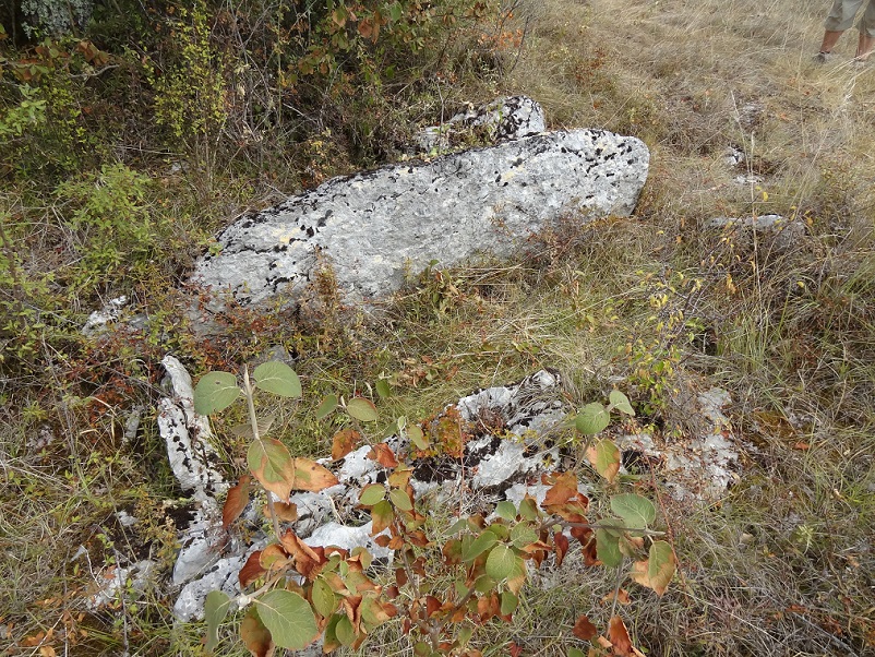Click for the gallery page to add comments and vote (PID:188215) Dolmen de Gastinel