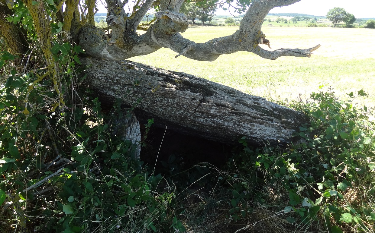 Dolmen de Castelnau-Pégayrols