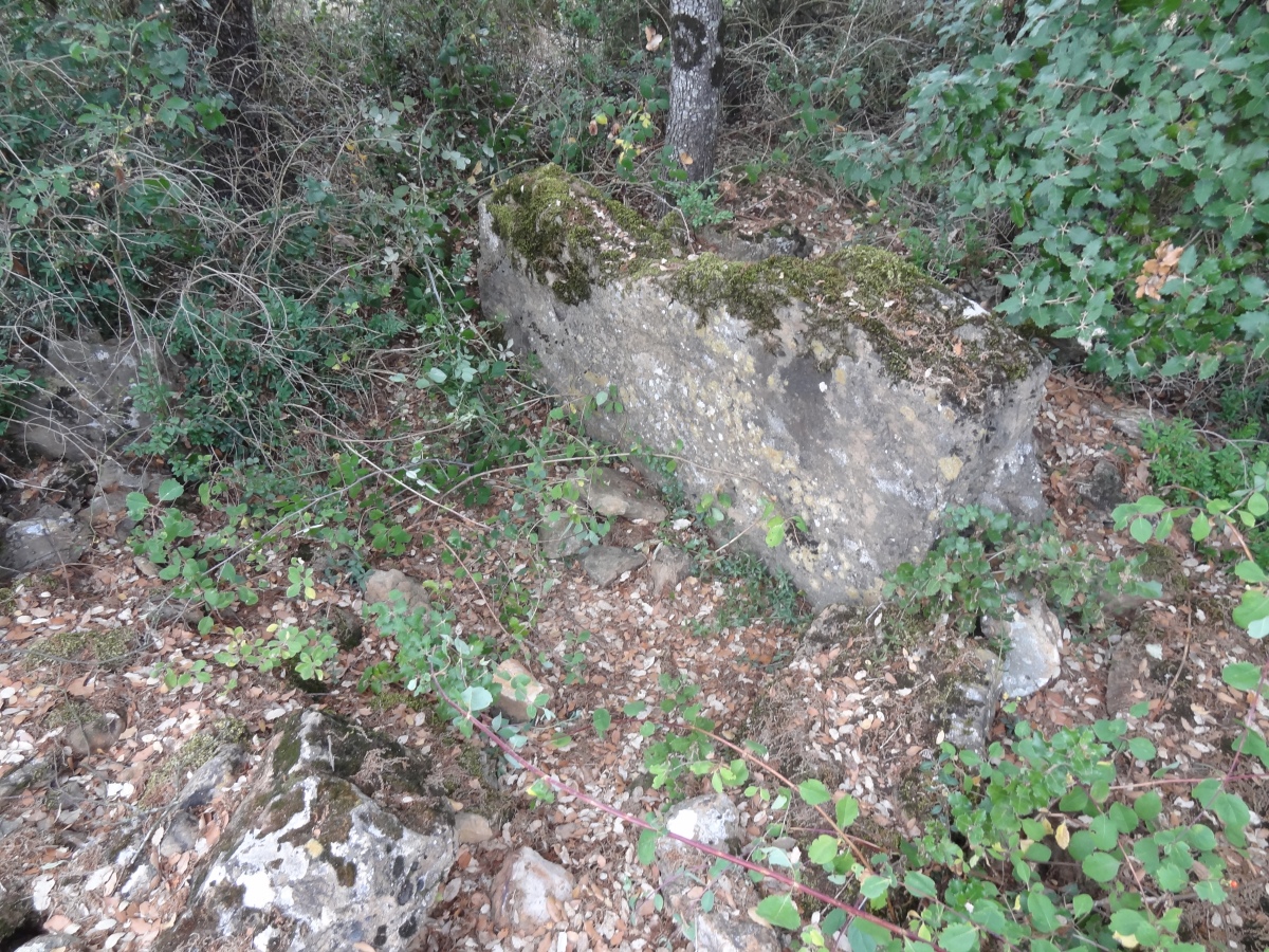 Click for the gallery page to add comments and vote (PID:235580) Dolmen de la Cadénède