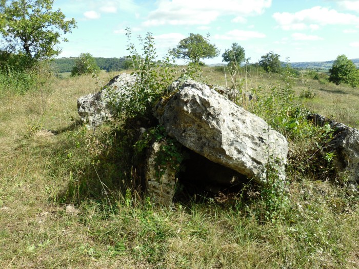 Click for the gallery page to add comments and vote (PID:83685) Buzareingues dolmen 2