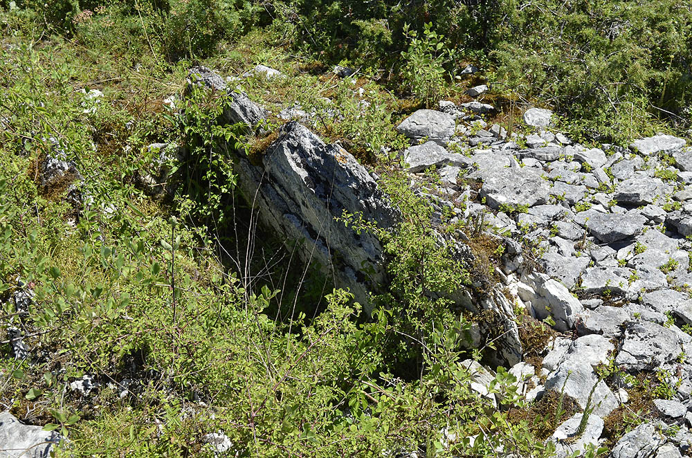 Click for the gallery page to add comments and vote (PID:183665) Chenil Dolmen