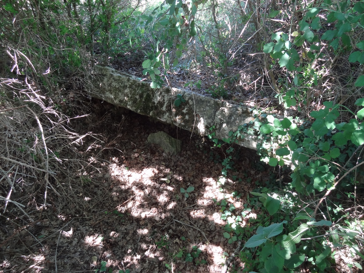 Dolmen de Concoules 3