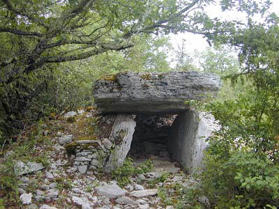 Dolmen de Combes-Hautes