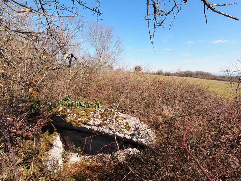 Click for the gallery page to add comments and vote (PID:130866) Croix d'Helene dolmen