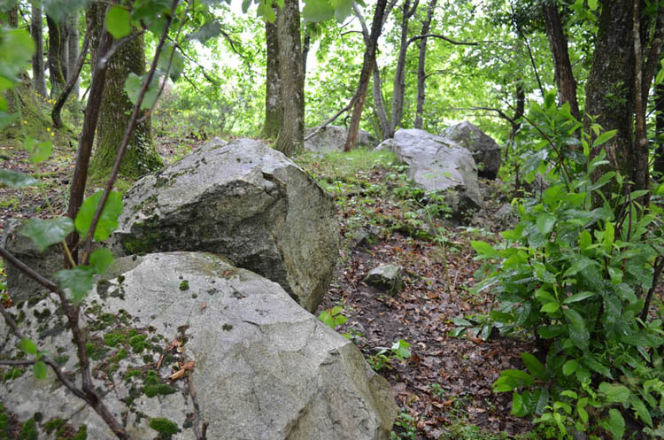 Cromlech de Peyrebrune