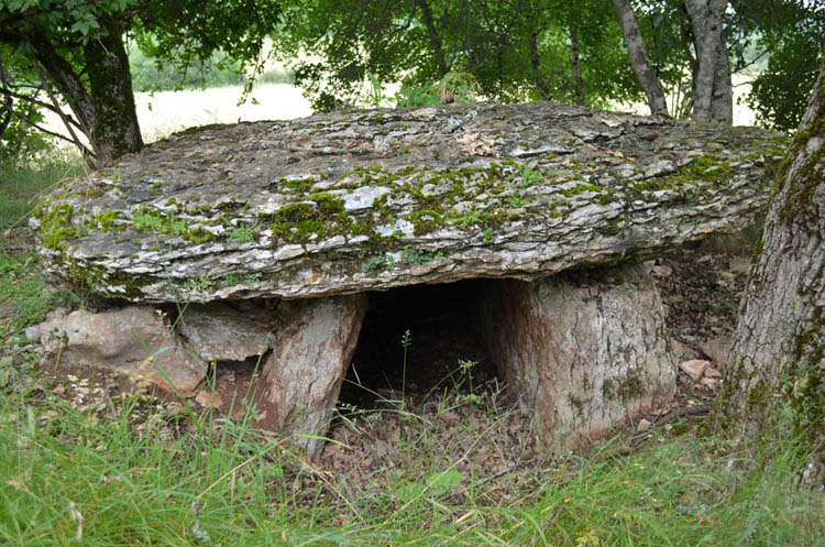 Click for the gallery page to add comments and vote (PID:91316) Combe de Sole dolmen 2