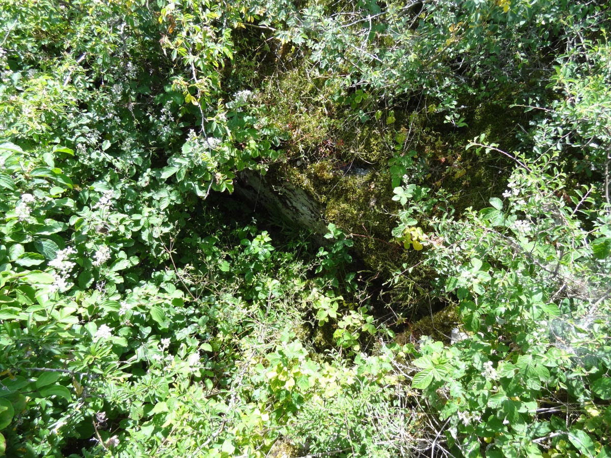 Dolmen de Bennac 4