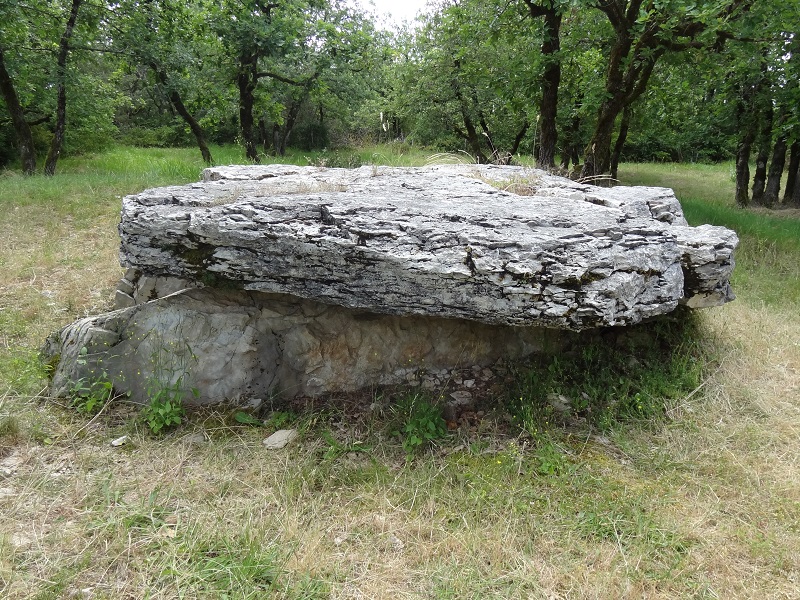 Click for the gallery page to add comments and vote (PID:176796) Dolmen Peyre Cotado