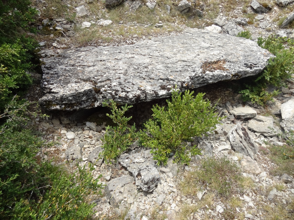 Dolmen de Saint-Martin-du-Larzac 5