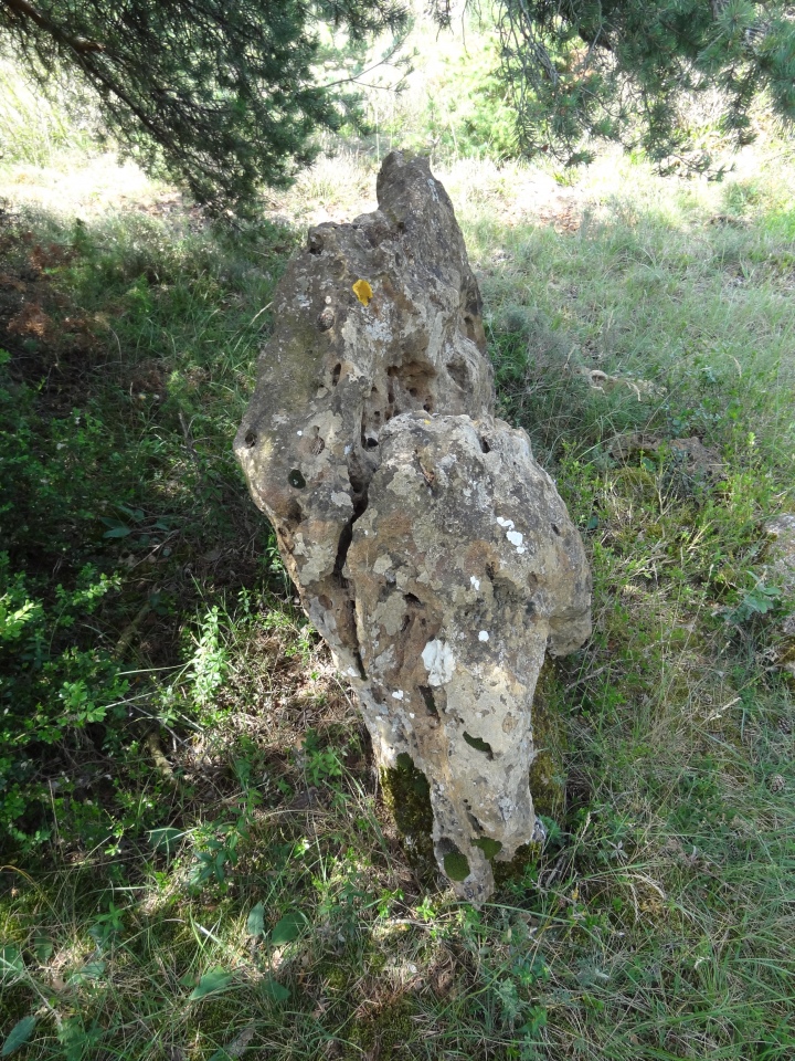 Navas menhir