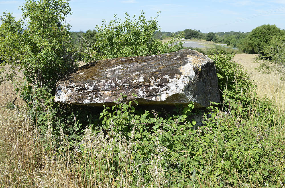 Dolmen de Rigou (Saint-Projet)