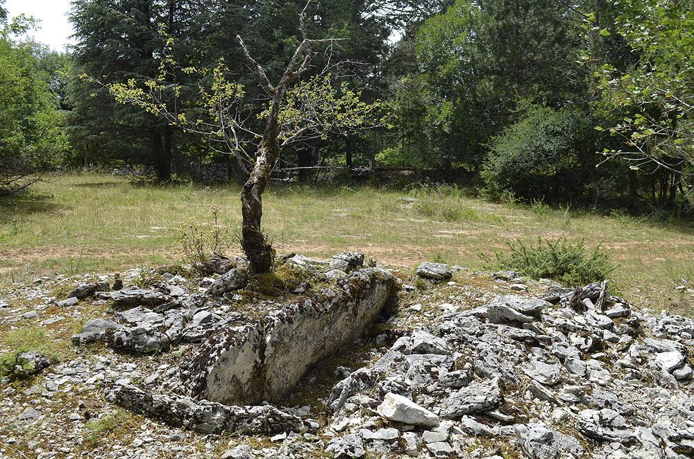 Dolmen du Cloup de Payrol