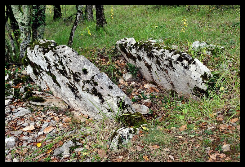 Click for the gallery page to add comments and vote (PID:148225) Dolmen des Places 1