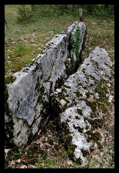 Click for the gallery page to add comments and vote (PID:148224) Dolmen de la Jonade 1