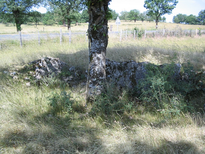 Click for the gallery page to add comments and vote (PID:189238) Dolmen de Bourines 1