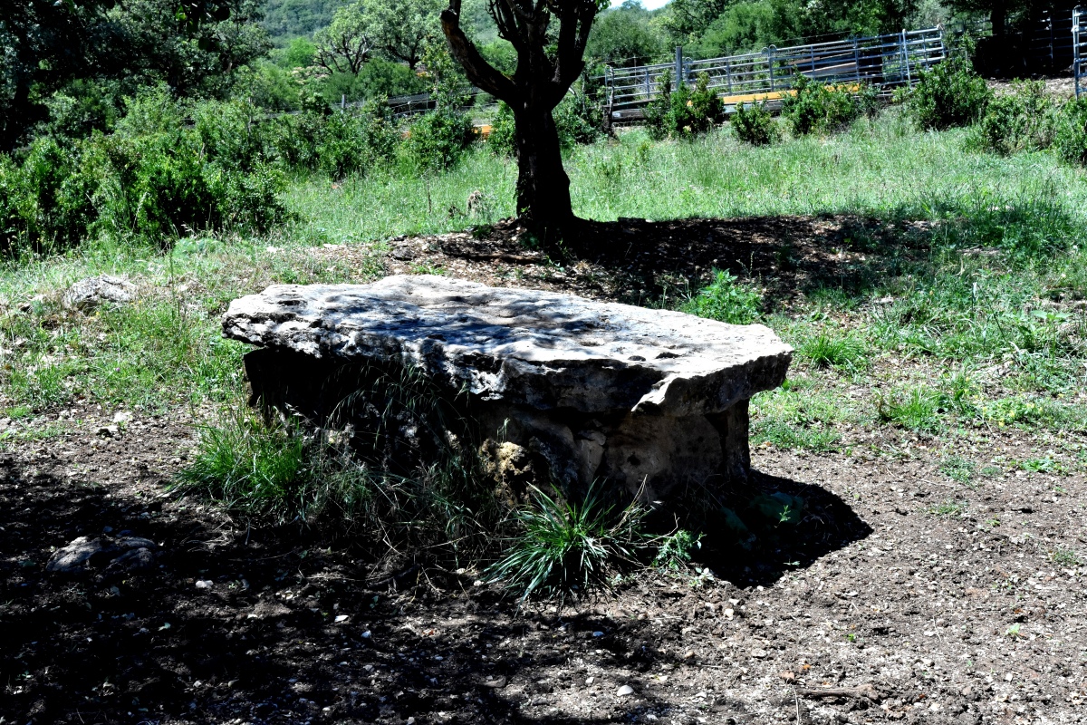Dolmen du Mas de Jantou 4