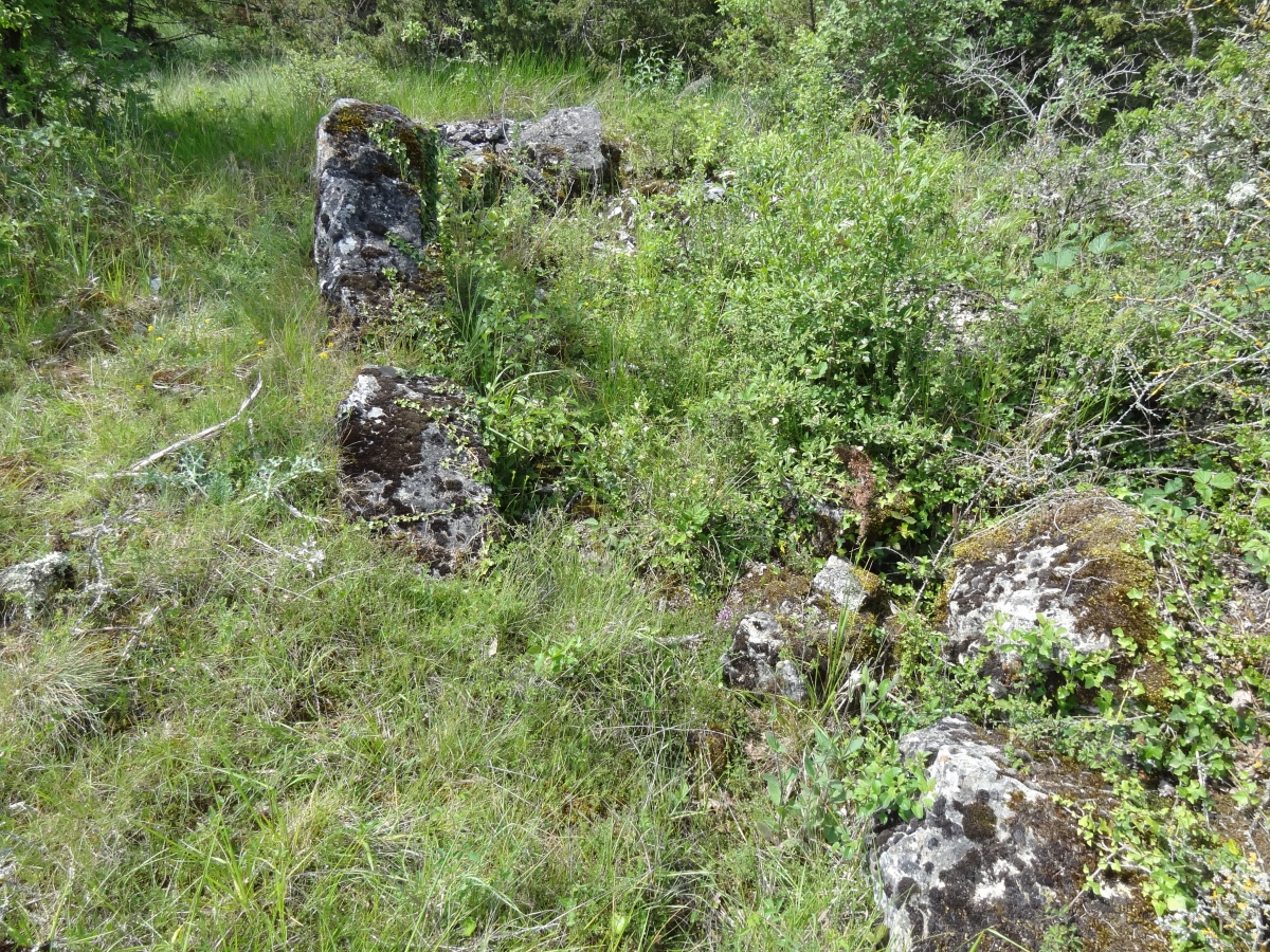 Dolmen des Vayssettes 1