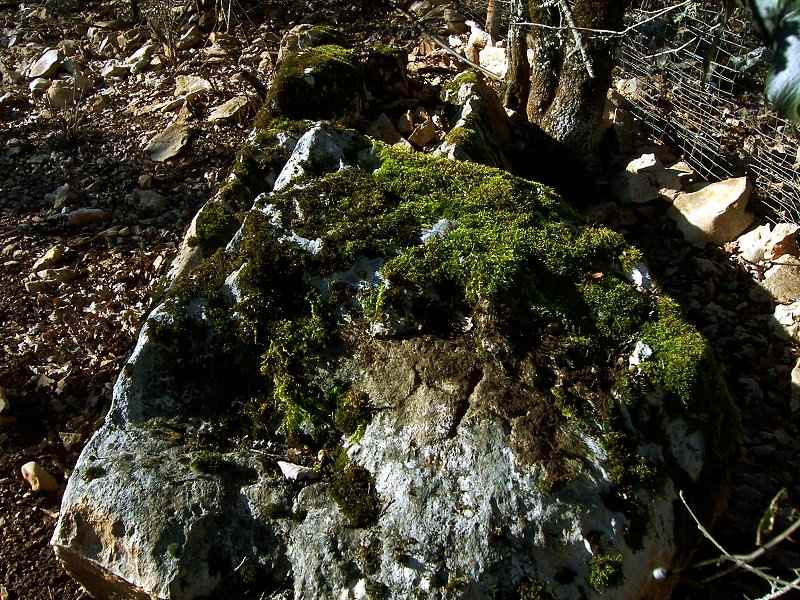 Dolmen de Clausel