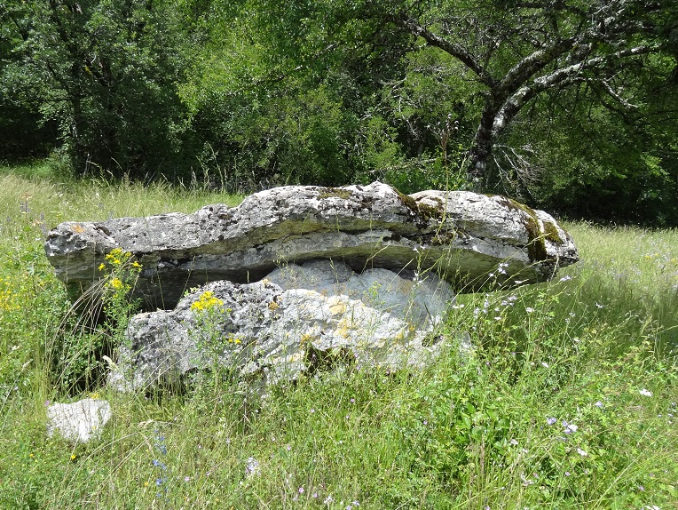 Click for the gallery page to add comments and vote (PID:176303) Dolmen de Saint Chignes