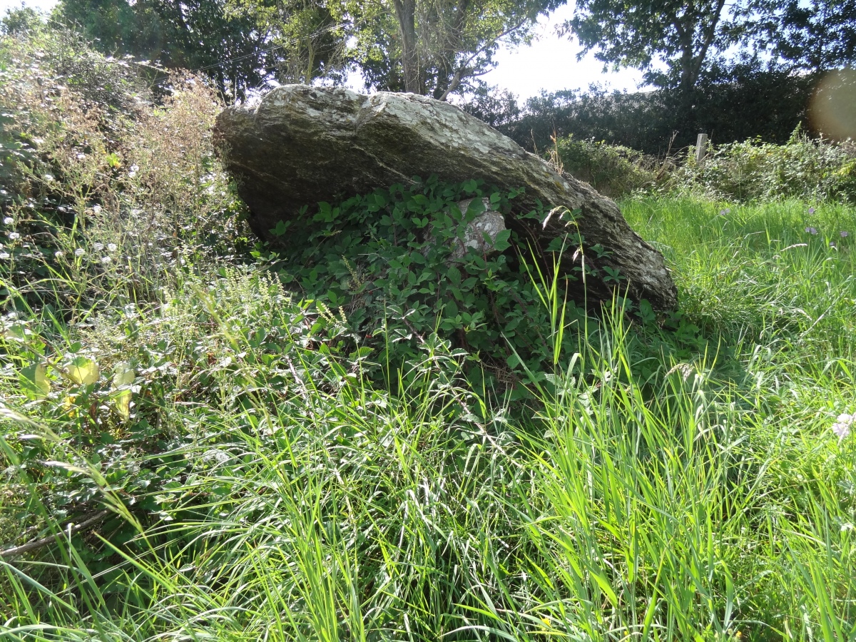 Dolmen dit la Peyre Levade (Ladepeyre)