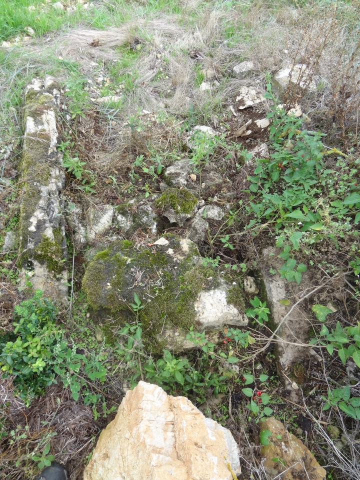 Click for the gallery page to add comments and vote (PID:236364) Dolmen du Serre (Sans Corps)