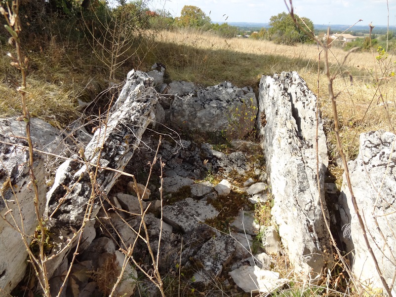 Click for the gallery page to add comments and vote (PID:188662) Dolmen du Pech 2